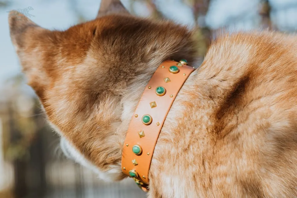 1.5" ASTERIA Gemstone Buckle Collar