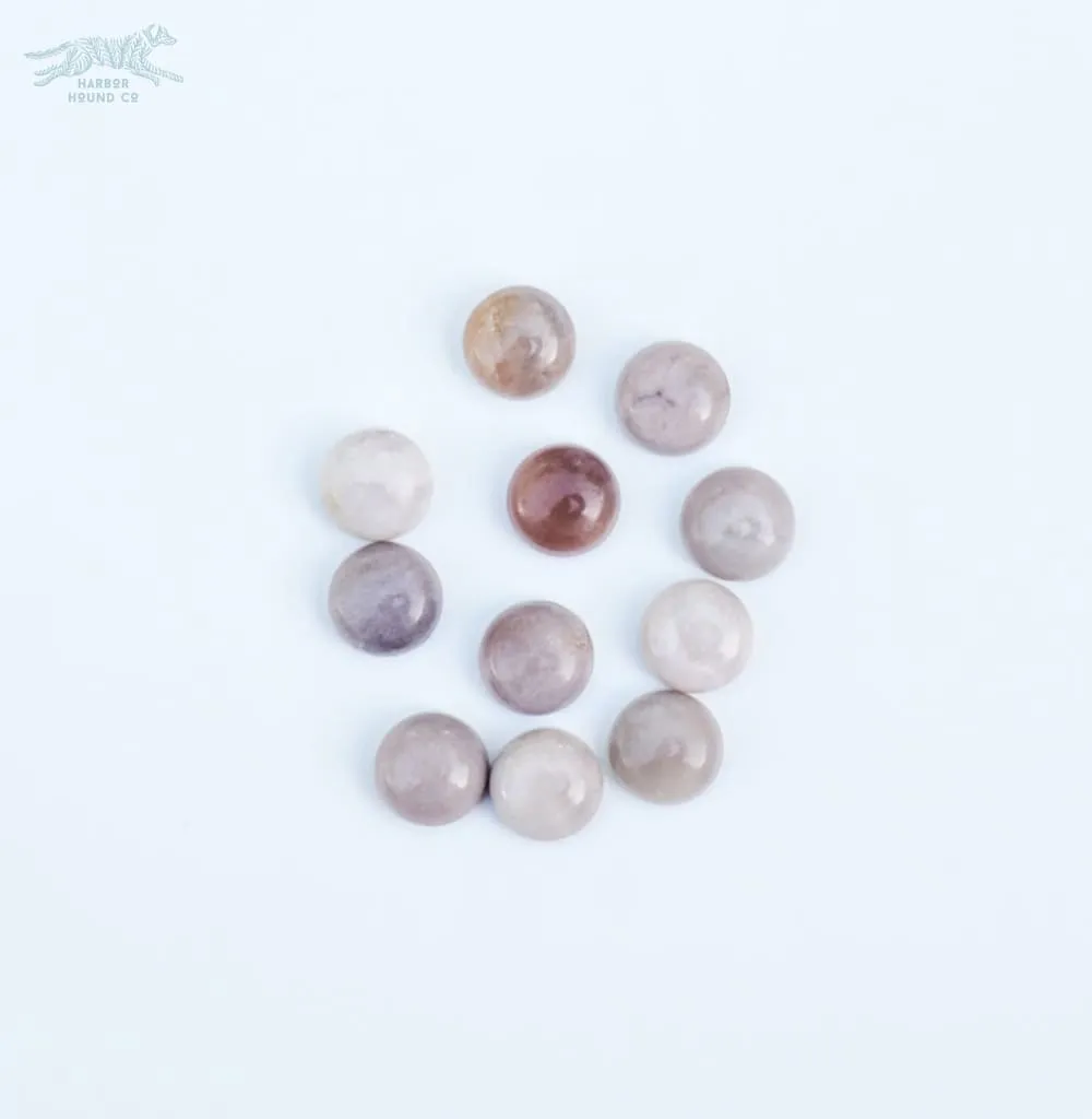 1.5" ASTERIA Gemstone Buckle Collar