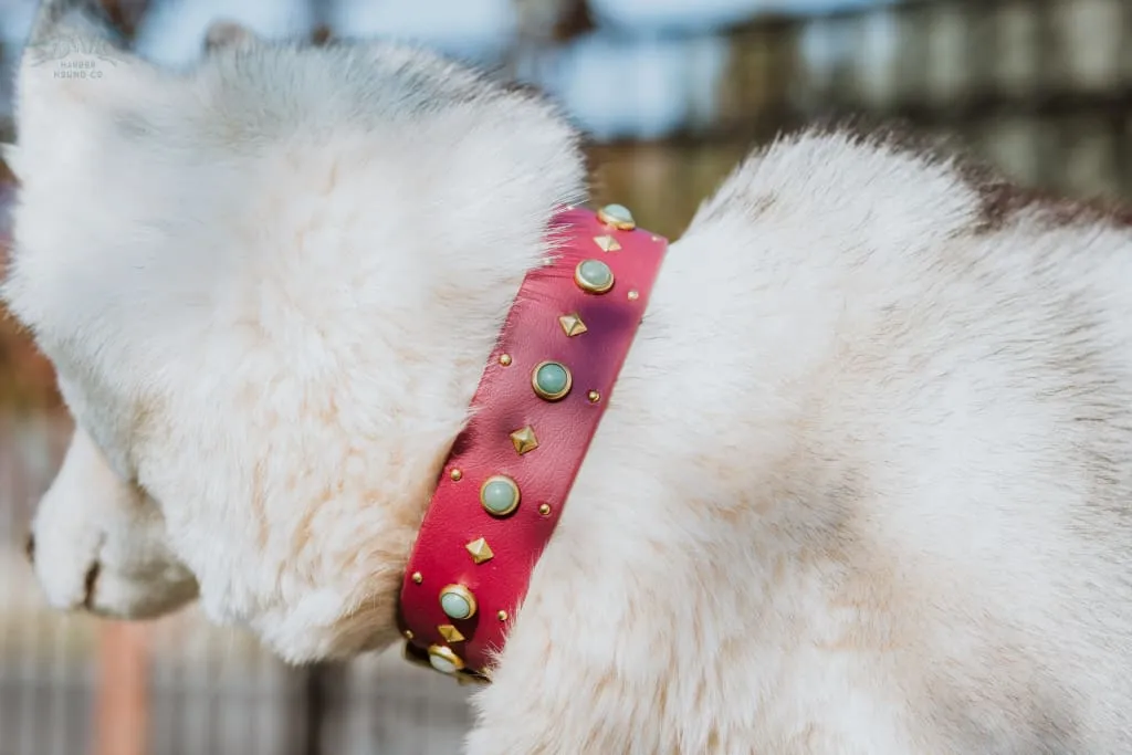 1.5" ASTERIA Gemstone Buckle Collar
