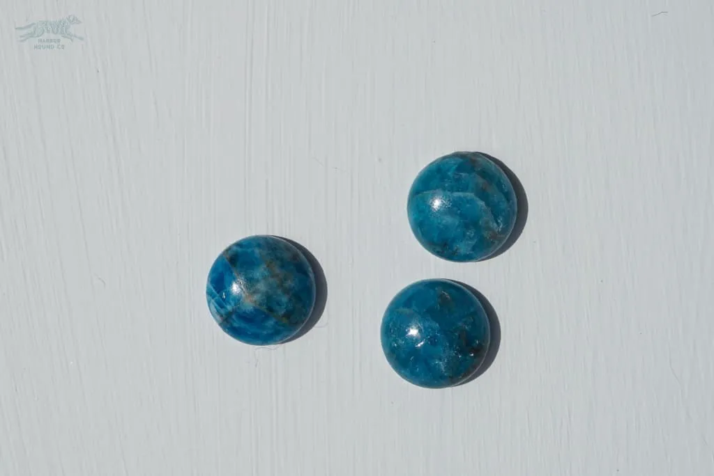 1.5" ASTERIA Gemstone Buckle Collar