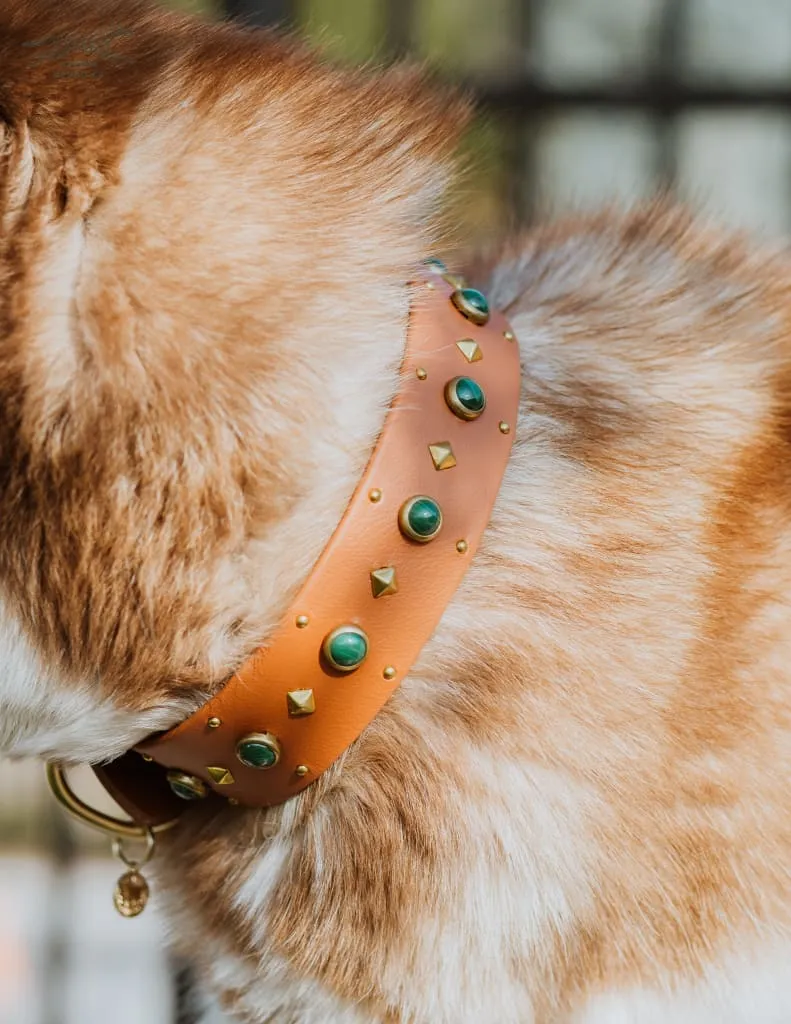 1.5" ASTERIA Gemstone Buckle Collar