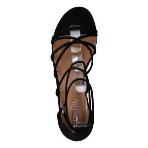 97-20256 Black