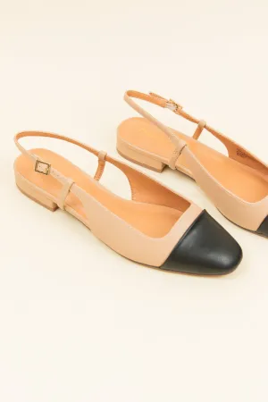 Cameeo Flat