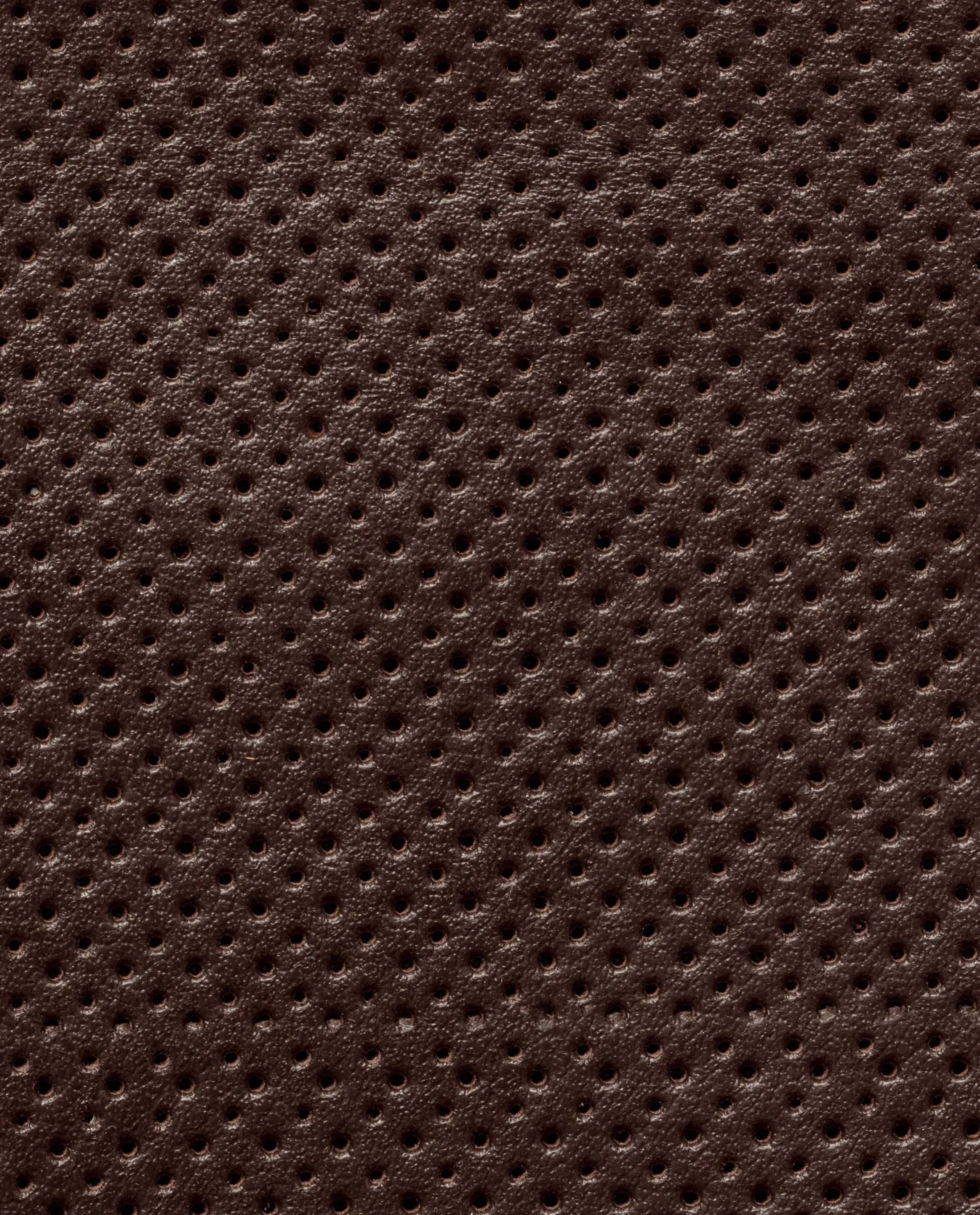 Chocolate Brown Perforated Calf Slip-On Sneakers
