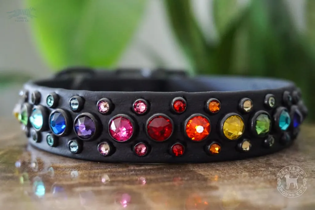 HALCYON 1" Crystal Studded Buckle Collar