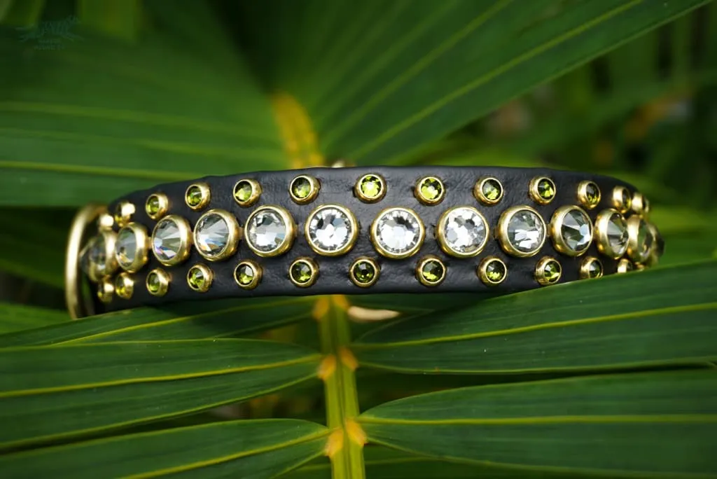 HALCYON 1" Crystal Studded Buckle Collar