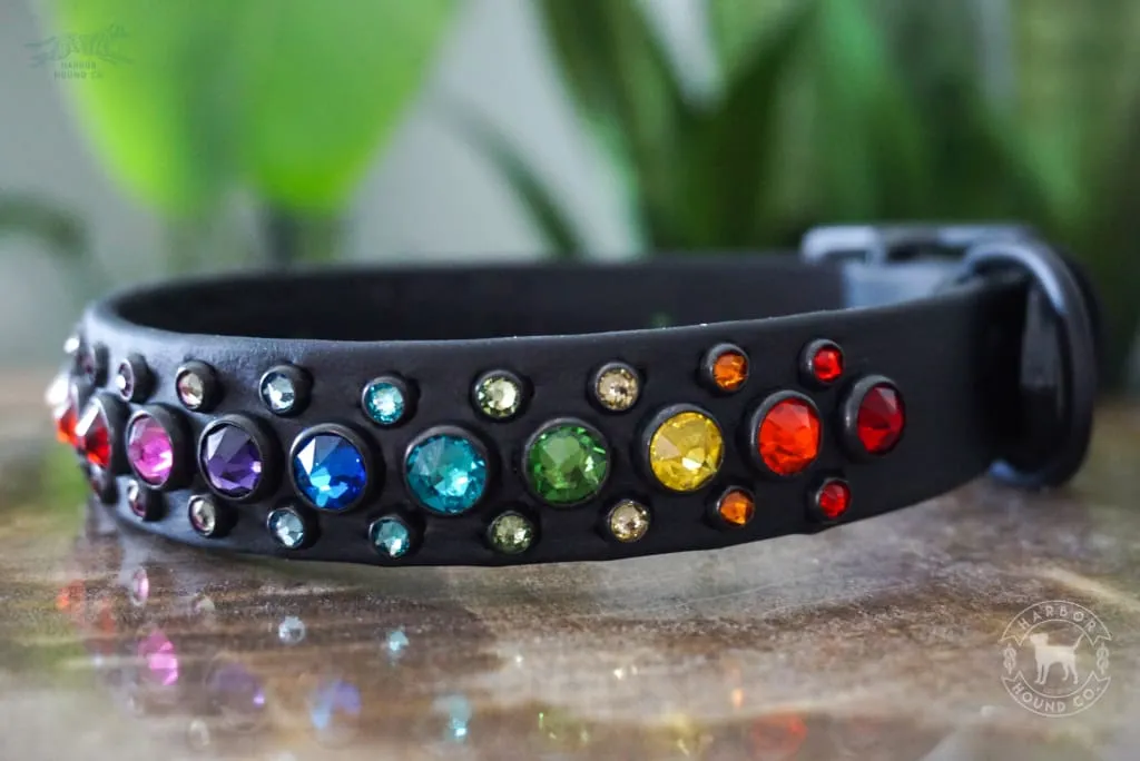 HALCYON 1" Crystal Studded Buckle Collar