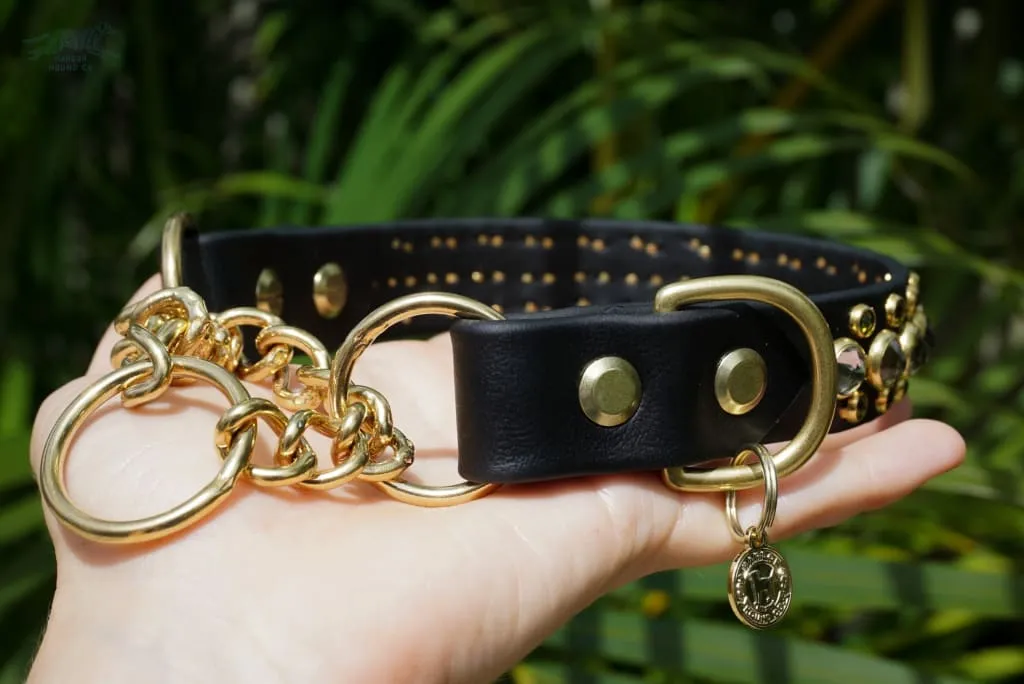 HALCYON 1" Two-Tone Crystal Studded Martingale Collar