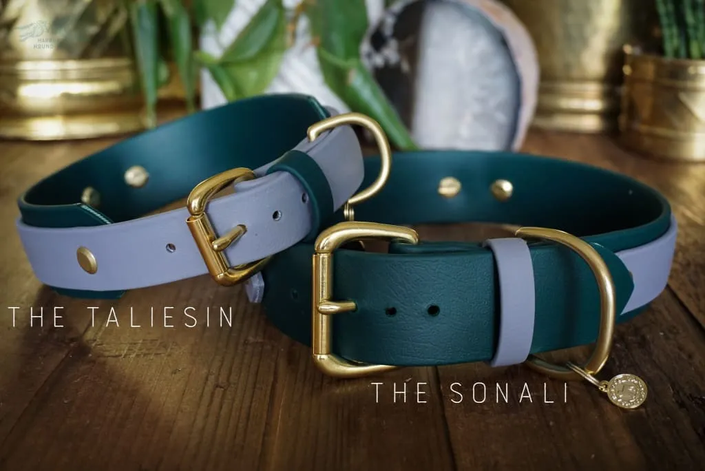 HERA 1.5" Gemstone Buckle Collar