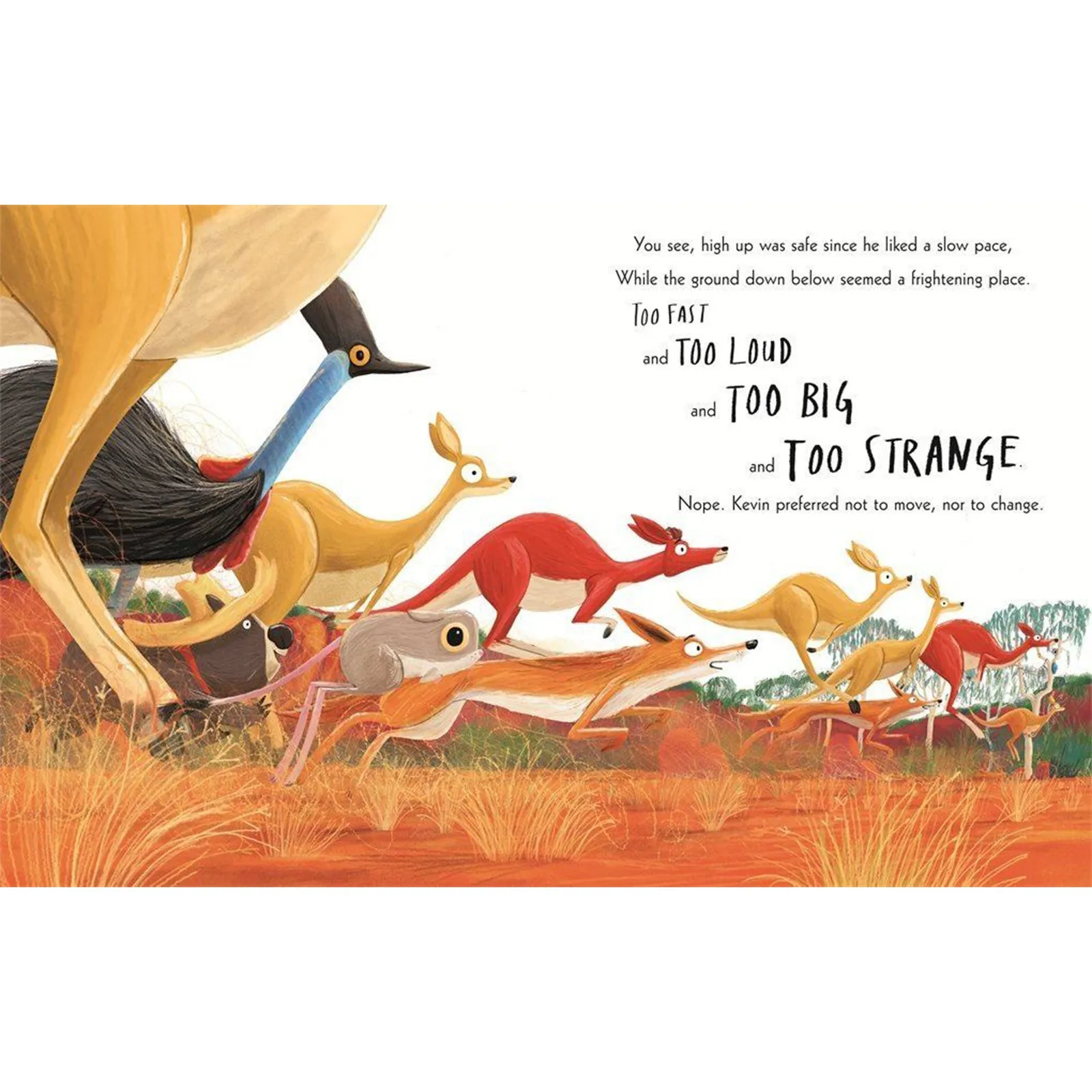 The Koala Who Could Board Book
