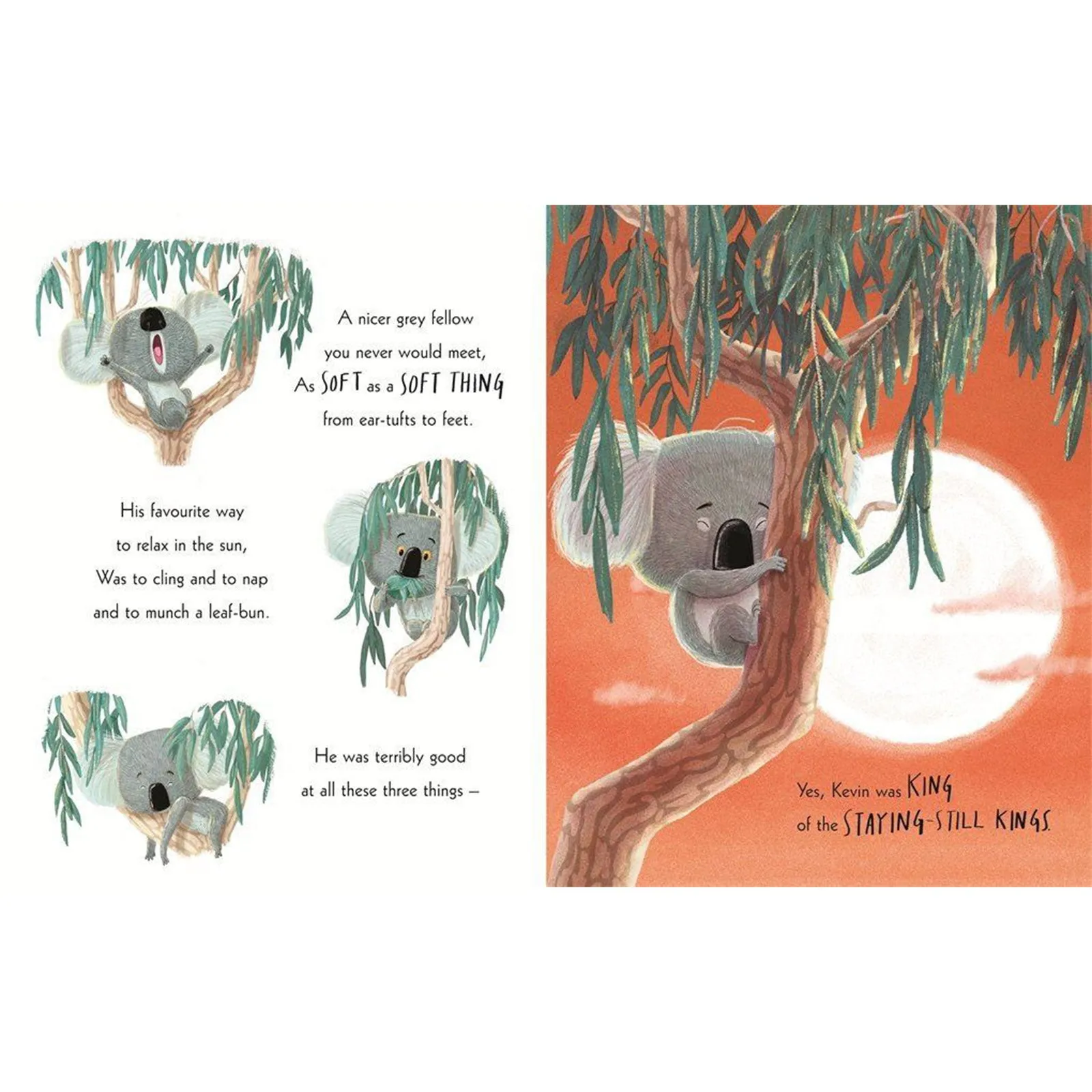 The Koala Who Could Board Book